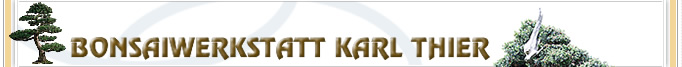 http://www.bonsaiwerkstatt.at